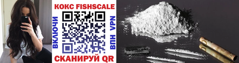 Cocaine Fish Scale  Купить закладки  Новокузнецк 