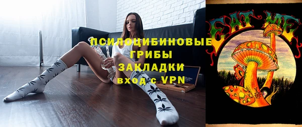 ПСИЛОЦИБИНОВЫЕ ГРИБЫ Балахна