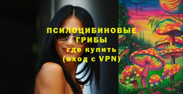 ПСИЛОЦИБИНОВЫЕ ГРИБЫ Балахна