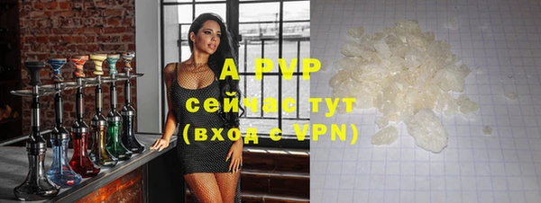 PSILOCYBIN Баксан