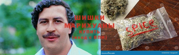 ПСИЛОЦИБИНОВЫЕ ГРИБЫ Балахна